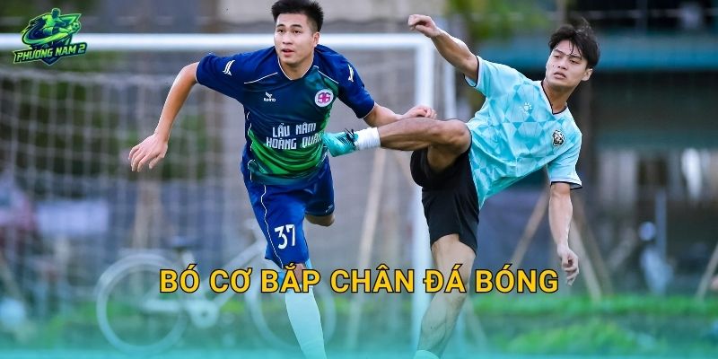 Bó cơ bắp chân đá bóng: Tác dụng thật, cách chọn size và dùng để giảm chuột rút