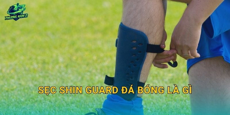 Sẹc shin guard đá bóng là gì: Công dụng, các loại phổ biến và cách chọn chuẩn