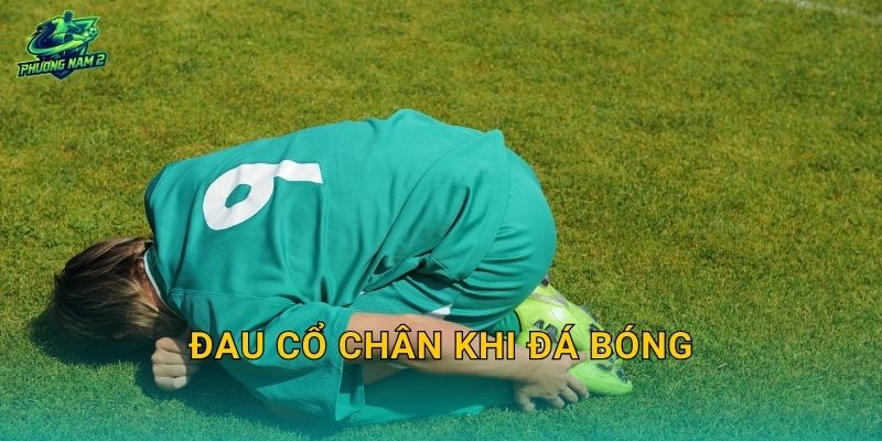 Đau cổ chân khi đá bóng: Nhận biết bong gân, cách xử lý ban đầu và phục hồi nhanh