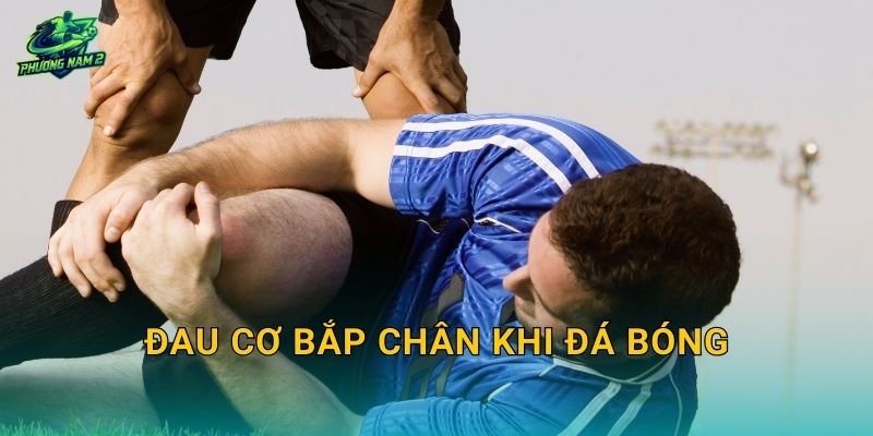 Đau cơ bắp chân khi đá bóng: Căng cơ, chuột rút hay rách cơ và cách xử lý đúng