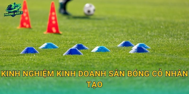 Kinh nghiệm kinh doanh sân bóng cỏ nhân tạo: Chọn mô hình, vận hành và tăng tỷ lệ kín sân