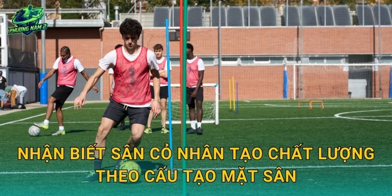 Nhận biết sân cỏ nhân tạo chất lượng theo cấu tạo mặt sân
