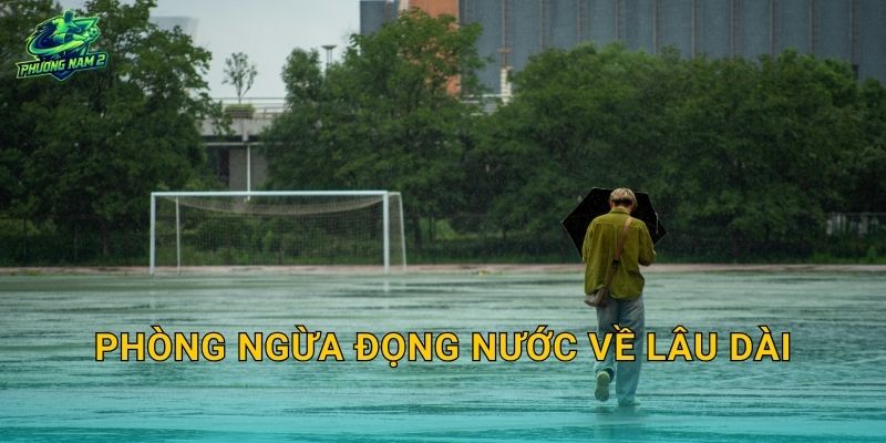 Sân bóng bị đọng nước khắc phục: Xử lý độ dốc, rãnh thu và tắc thoát nước 4 Phòng ngừa đọng nước về lâu dài