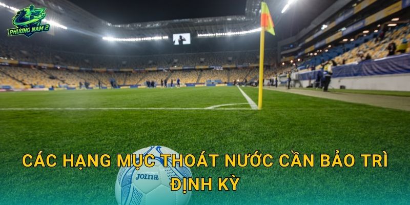 Các hạng mục thoát nước cần bảo trì định kỳ
