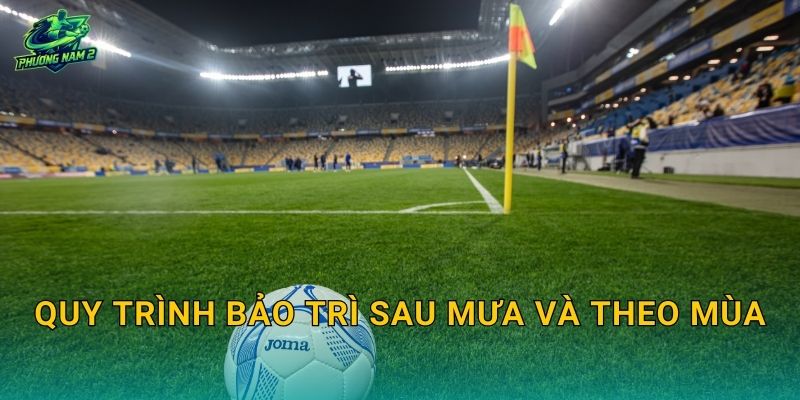 Quy trình bảo trì sau mưa và theo mùa