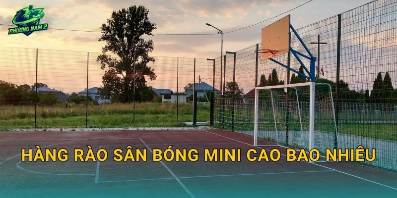 Hàng rào sân bóng mini cao bao nhiêu: Chọn chiều cao lưới chắn bóng theo sân 5, sân 7