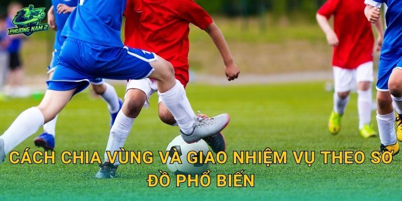 Cách chia vùng và giao nhiệm vụ theo sơ đồ phổ biến