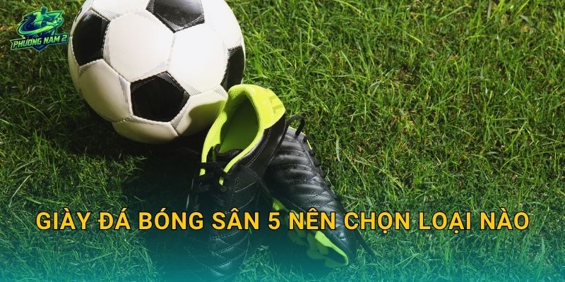 Giày đá bóng sân 5 nên chọn loại nào: TF hay IC, bám sân và xoay trở nhanh