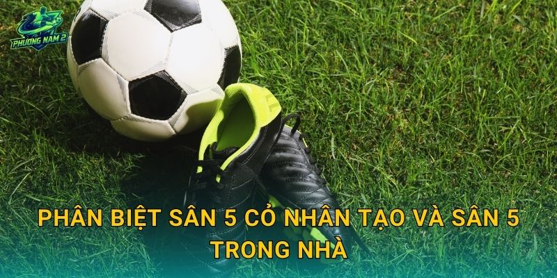 Phân biệt sân 5 cỏ nhân tạo và sân 5 trong nhà