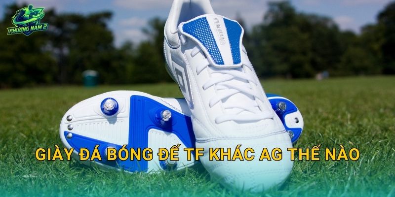 Giày đá bóng đế TF khác AG thế nào: Chọn đúng loại đế để bám sân và giảm chấn thương