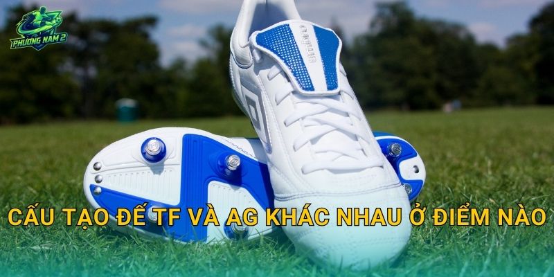 Cấu tạo đế TF và AG khác nhau ở điểm nào